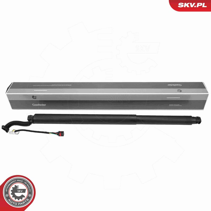 ESEN SKV 52SKV238 - Electric Motor, tailgate