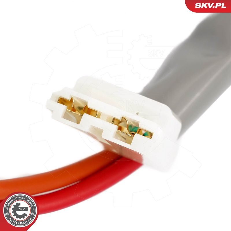 Roolilukk, ESEN SKV 65SKV209