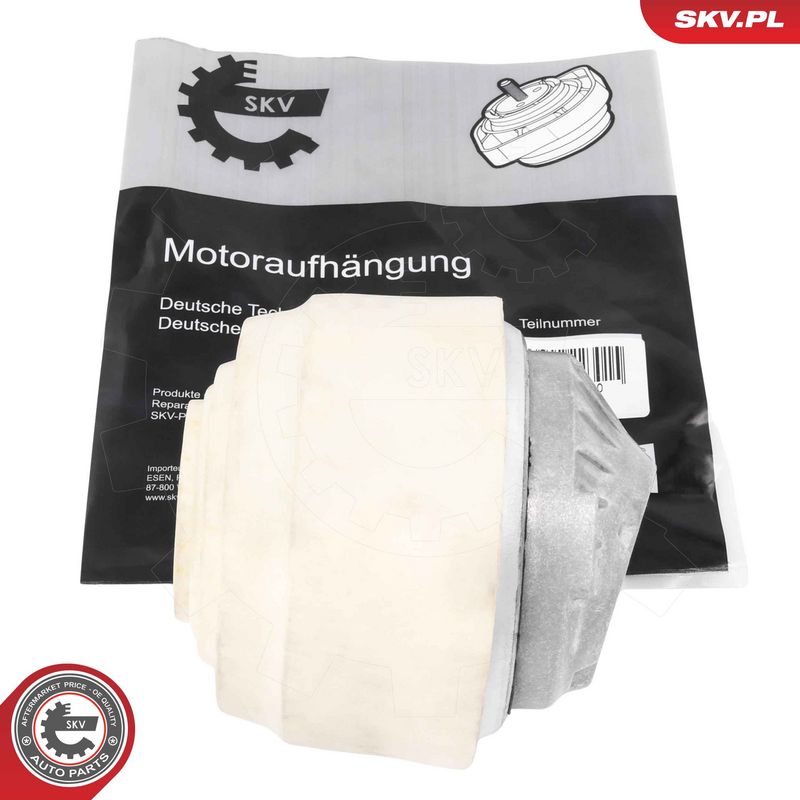 ESEN SKV Variklio montavimas