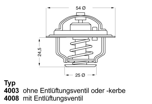 BorgWarner (Wahler) termosztát, hűtőfolyadék 4008.79D