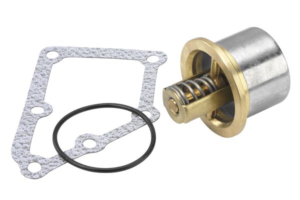 BorgWarner (Wahler) 410828.82D Thermostat, coolant