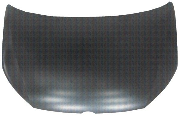 Capota motor MTR 11037964