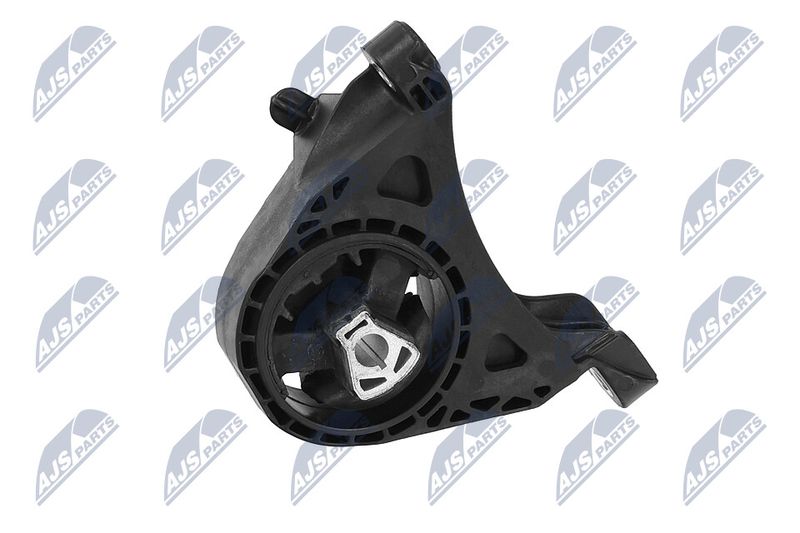 Paigutus, Mootor, NTY ZPS-PL-011