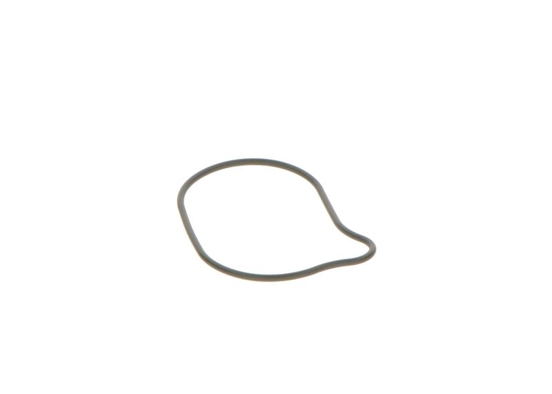 BOSCH 2440210028 Rubber Ring