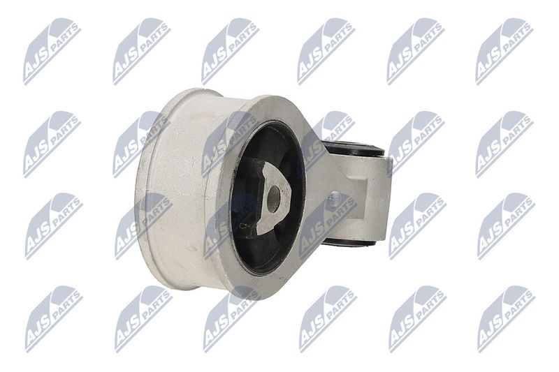 Paigutus, Mootor, NTY ZPS-NS-062