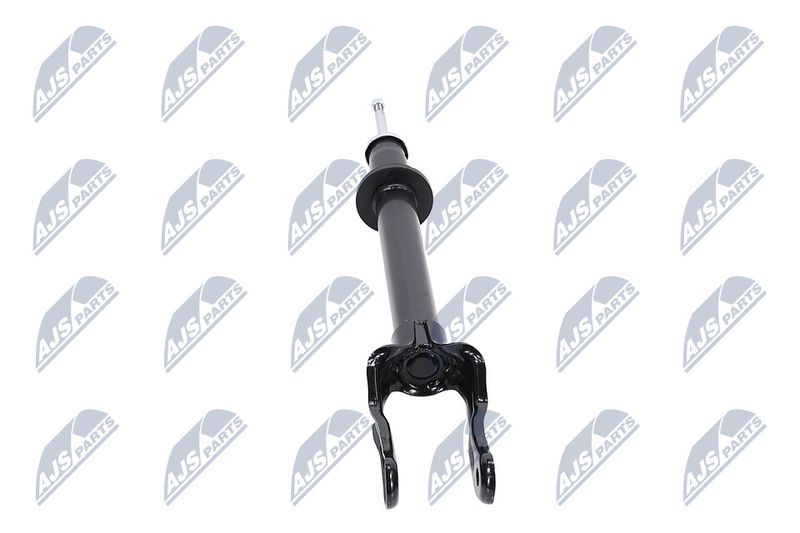 Amort, NTY A-CH-077