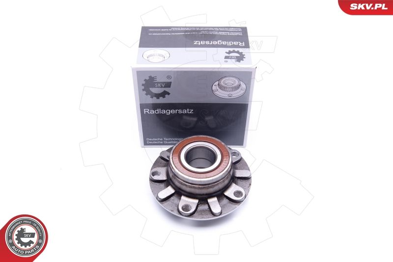 ESEN SKV 29SKV190 Wheel Bearing Kit