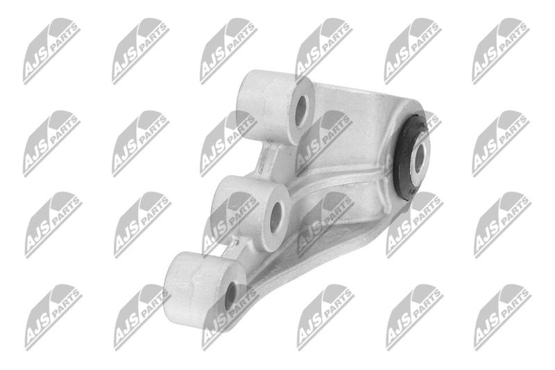 Paigutus, Mootor, NTY ZPS-CH-123