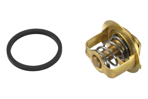 BorgWarner (Wahler) 3033.84D Thermostat, coolant
