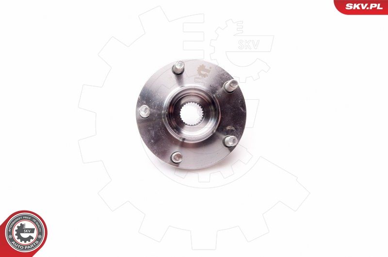 ESEN SKV 29SKV141 Wheel Bearing Kit