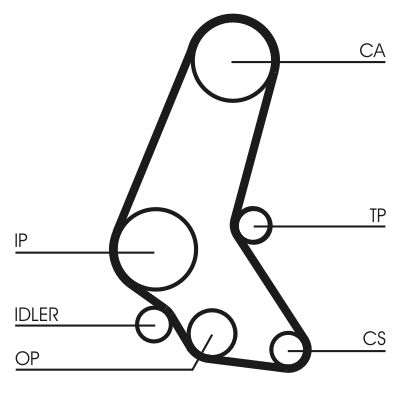 CONTINENTAL CTAM CT748 Timing Belt