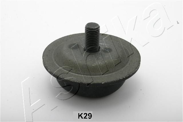 GOM-K29_1.JPG
