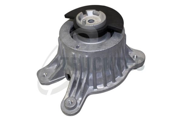 TRUCKTEC AUTOMOTIVE Variklio montavimas