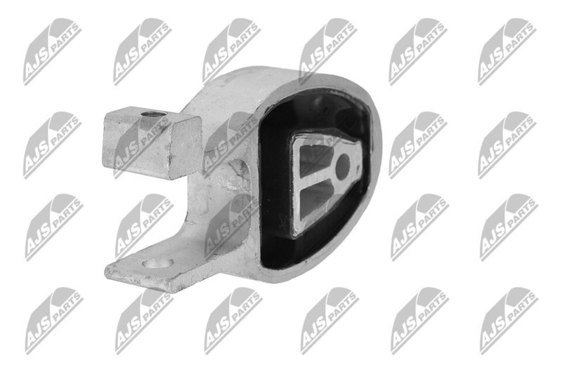 Paigutus, Mootor, NTY ZPS-FR-010