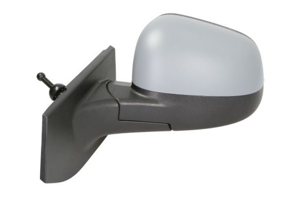 BLIC 5402-56-010365P Exterior Mirror