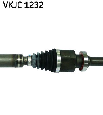 VKJC 1232_3.JPG