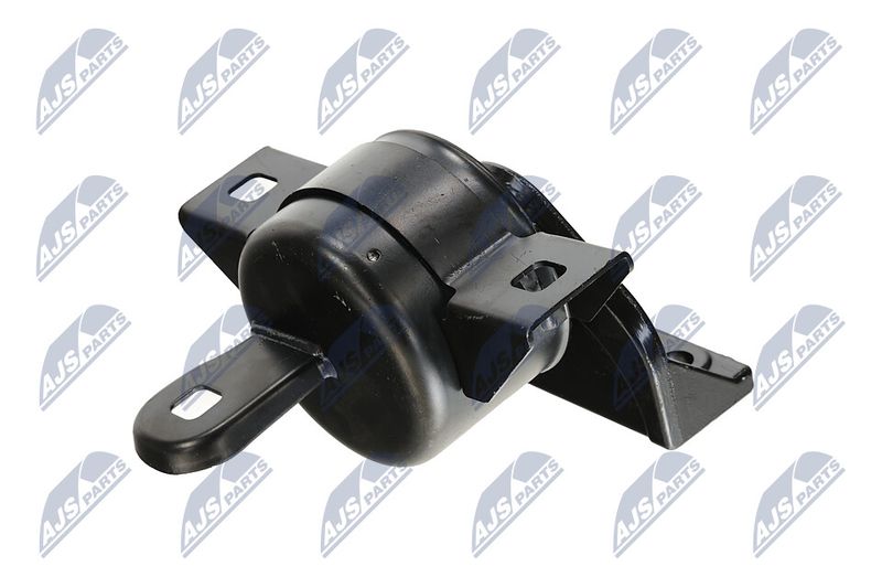 Paigutus, Mootor, NTY ZPS-DW-011