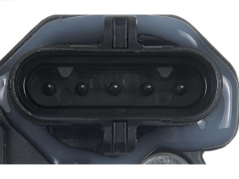 411195.JPG