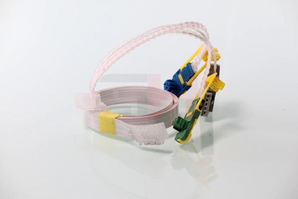 Tulede, kojameeste kangilüliti, GH GH-793768