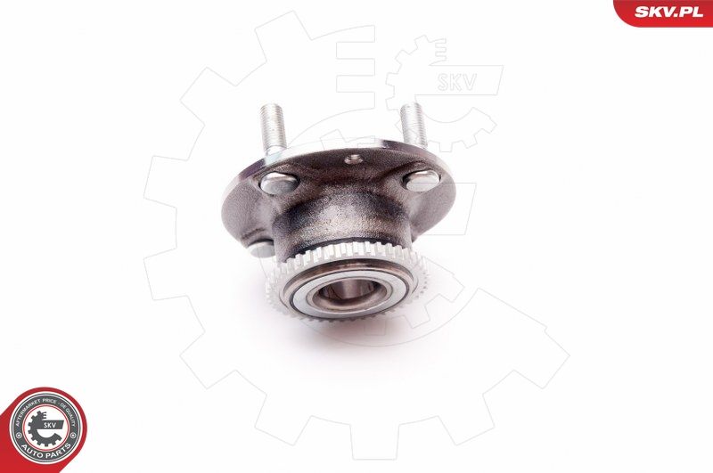 ESEN SKV 29SKV066 Wheel Bearing Kit