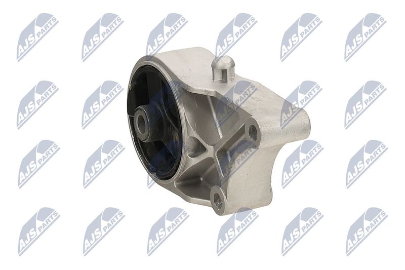 Paigutus, Mootor, NTY ZPS-PL-074
