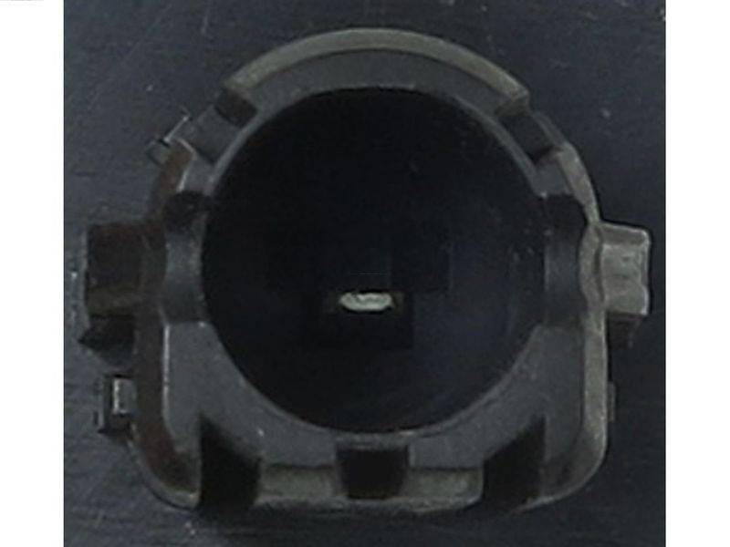 92091.JPG