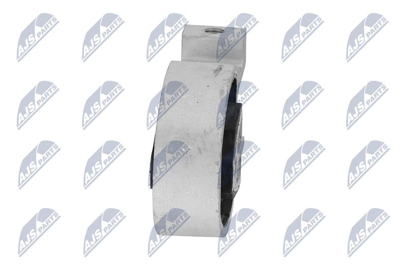 Paigutus, Mootor, NTY ZPS-FR-038