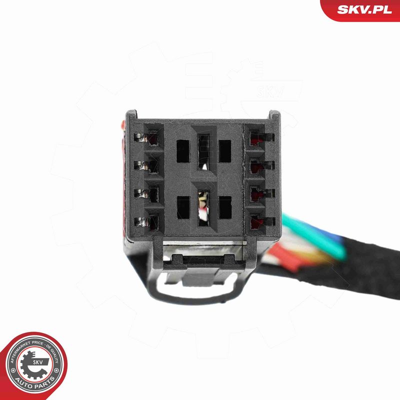 ESEN SKV 52SKV173 Electric Motor, tailgate
