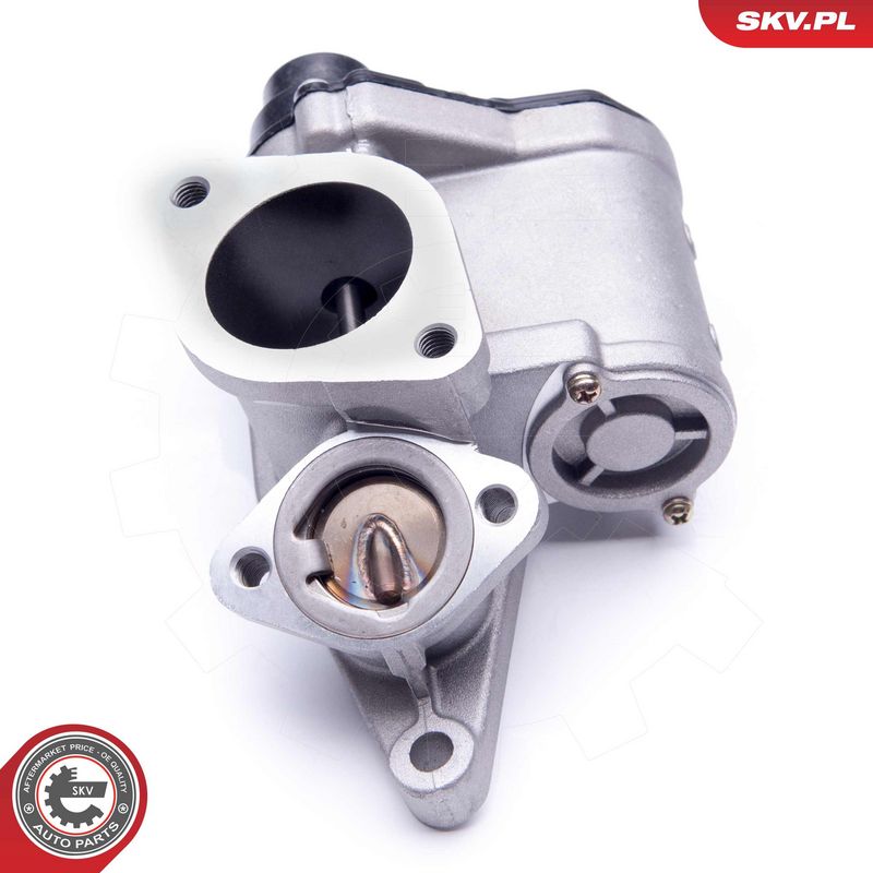 EGR-klapp, ESEN SKV 14SKV168