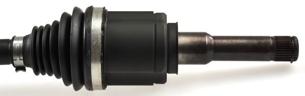 GKND11755C.JPG