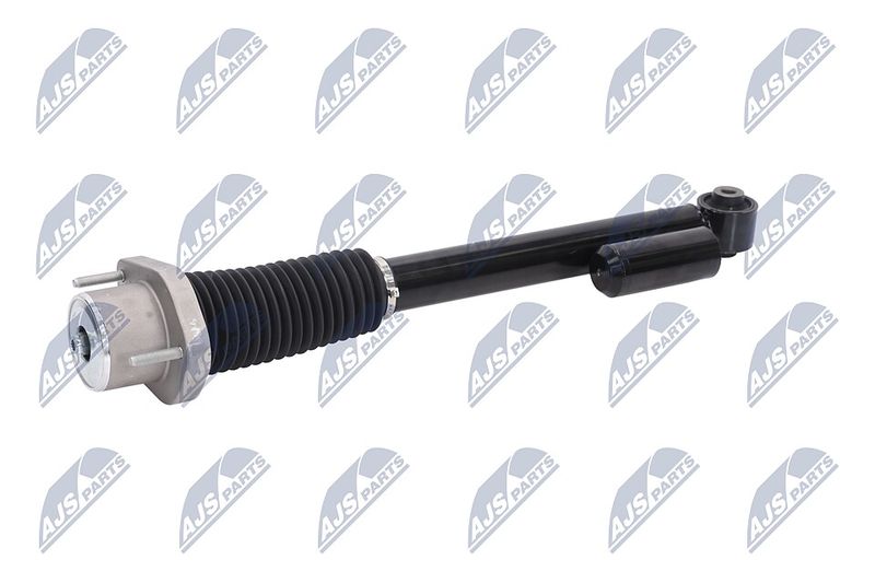 Amort, NTY A-LR-019