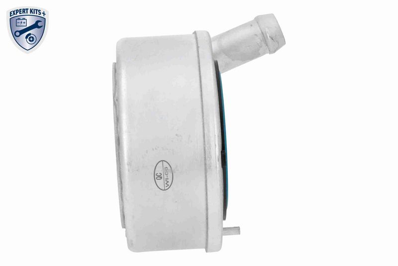 ACKOJA A32-60-0002 Oil Cooler, engine oil