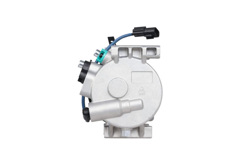 366202521_BACK_TD_1.JPG