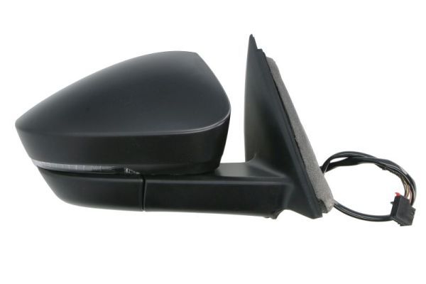 BLIC 5402-43-1925311P Exterior Mirror