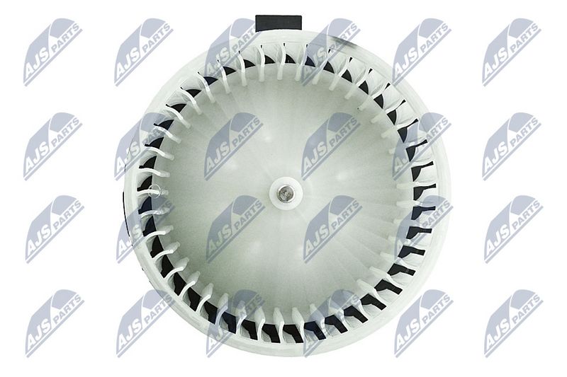 Salongipuhur, NTY EWN-NS-005