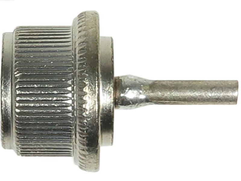 257532.JPG