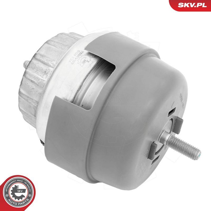 Paigutus, Mootor, ESEN SKV 75SKV133