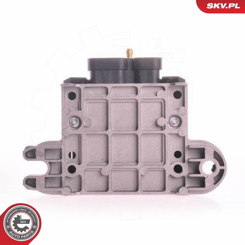 ESEN SKV 03SKV189 Ignition Coil