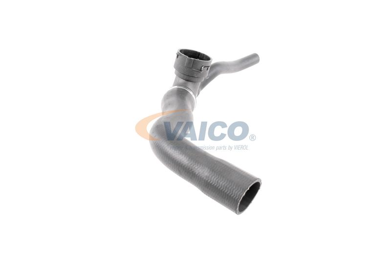 VAICO V30-3264 Radiator Hose