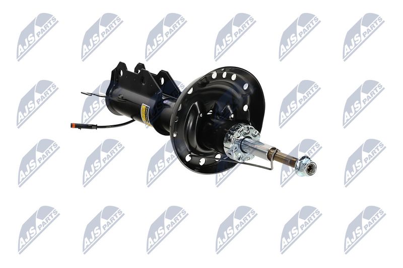 Amort, NTY A-PL-062