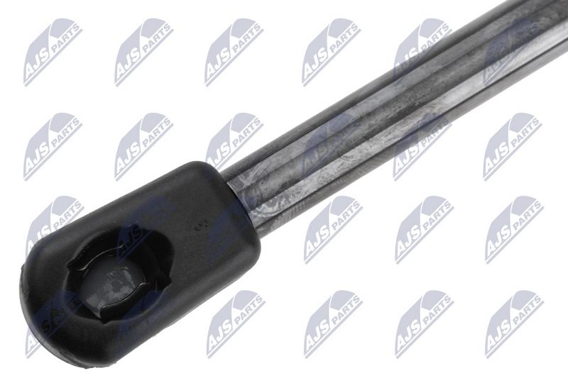 NTY AE-BM-155 Gas Spring, boot/cargo area