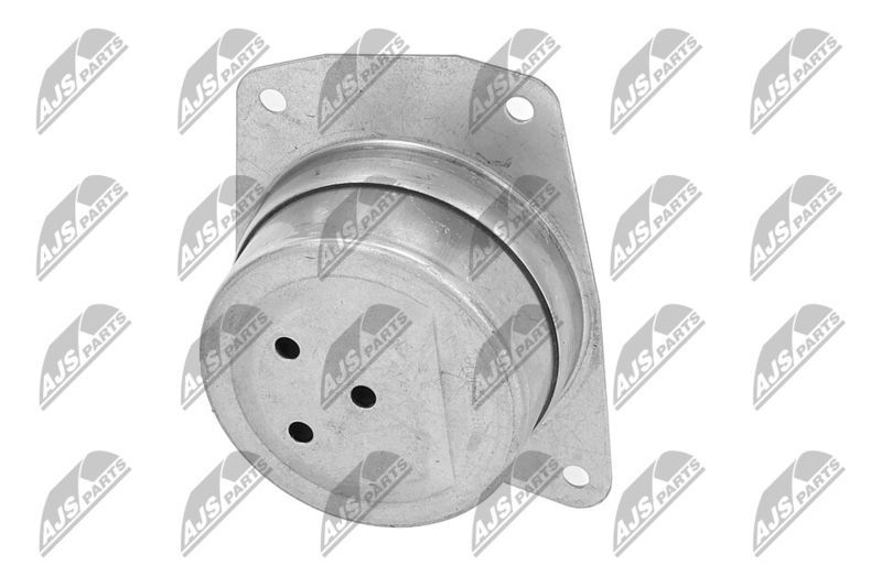 Paigutus, Mootor, NTY ZPS-PL-025