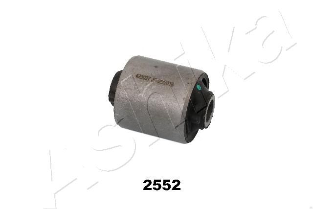 GOM-2552_1.JPG