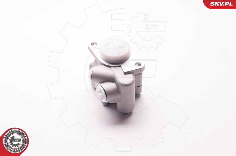 ESEN SKV 1SKV0010 Hydraulic Pump, steering