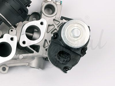 138457_5.JPG