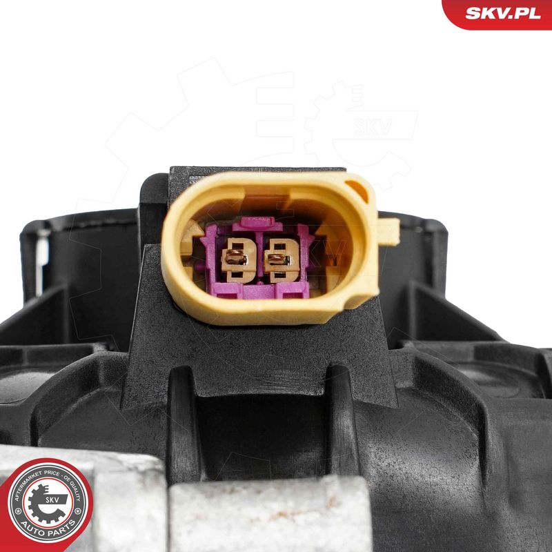 Paigutus, Mootor, ESEN SKV 75SKV182