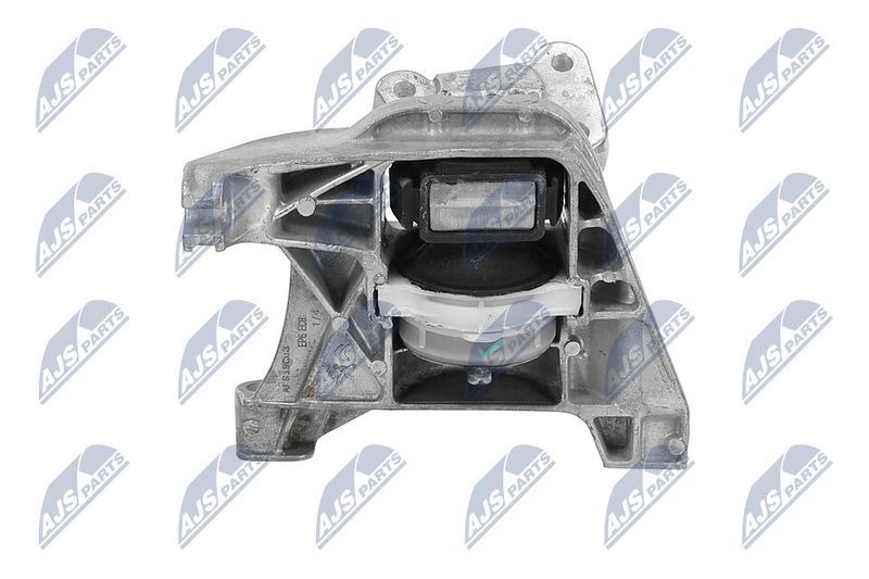 Paigutus, Mootor, NTY ZPS-PE-020
