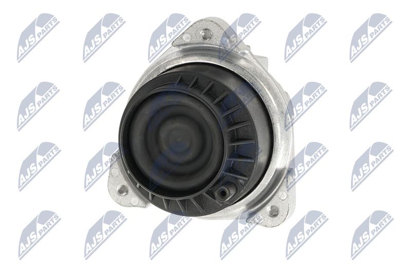 Paigutus, Mootor, NTY ZPS-BM-048