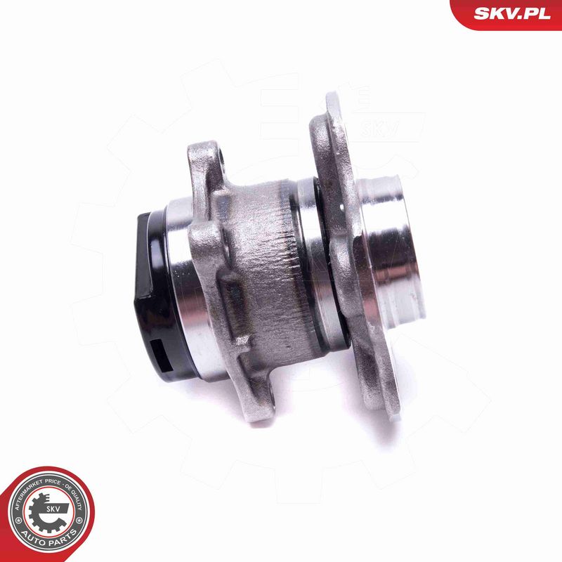 ESEN SKV 29SKV543 Wheel Bearing Kit