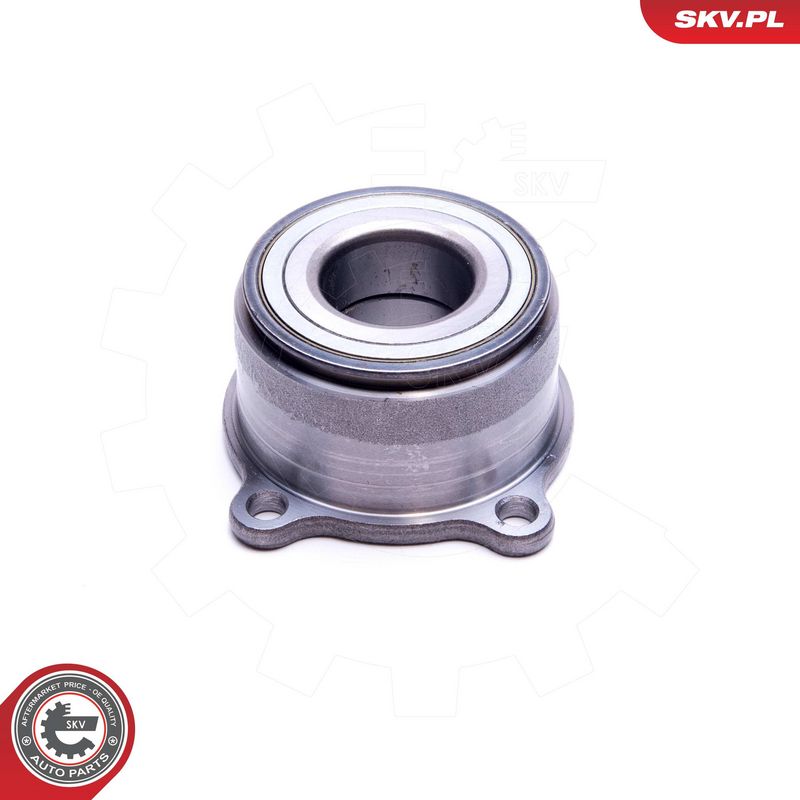 Rattalaagrikomplekt, ESEN SKV 29SKV519